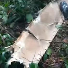 Imagens mostram destroços e chegada do Águia no local da queda de avião