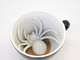 Aranha cafeinada é uma baita treta