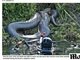 O mergulhador suíço Franco Banfi encontrou uma anaconda de oito metros em um rio no Mato Grosso do Sul. De acordo com o tabloide inglês Daily Mail, o objetivo dele era registrar o animal em seu habitat natural