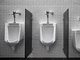 Após urinar, é fundamental secar o pênis com papel higiênico para que a região não fique úmida e suscetível à proliferação de bactérias e fungos