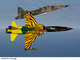 Na imagem, o F-5 aparece com pintura comemorativa alusiva aos 30 anos de operação da aeronave na Força Aérea Brasileira