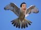 O apresentador Jimmy Fallon virou Jimmy Falcão!