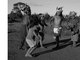 

Espremidos em reservas superpovoadas, os índios vivem sob
estresse físico e mental. O alcoolismo e o uso de drogas são comuns. <b><a href="http://noticias.r7.com/brasil/fotos-mostram-luta-de-guaranis-kaiowas-por-sobrevivencia-na-beira-de-estradas-12122012">Leia mais</a></b><br>