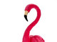 Uma vez flamingo, sempre flamingo
