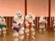 Pra algumas coisas, existe explicação, mas, para a maioria das imagens que você vai ver aqui, não há explicação que convença. Por exemplo: o que é essa marcha de poodles?