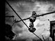 O segundo lugar do Unicef Photo of the Year 2012 ficou com o fotógrafo 
indiano Abhijit Nandi, por seu projeto A Vida na Corda Bamba, que 
documenta os apuros vividos pelas crianças de rua de várias partes da 
Índia