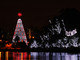 Árvore de Natal do parque do Ibirapuera, em São Paulo (SP) tem cerca de 60 m de altura