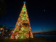 A árvore de Natal de Florianópolis (SC) decora a orla da capital e tem 30 m de altura e 35 mil lâmpadas