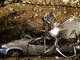 O muro de um <A href="http://noticias.r7.com/sao-paulo/desabamento-de-muro-deixa-mortos-em-sorocaba-20122012">prédio histórico em Sorocaba, interior de São Paulo, desabou</A> por volta das 19h45 desta quinta-feira (20) deixando ao<A href="http://"></A><A href="http://"></A>menos sete pessoas mortas