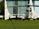 O VH-36 é o mais novo modelo de helicóptero utilizado pela presidente Dilma em seus deslocamentos. Este é o modelo EC-725, também fabricado pela Helibras