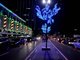 À noite, o local fica muito diferente para aqueles que passam pela via todos os dias. Além dos comércios, árvores e objetos foram decorados com centenas de luzes e arranjos&nbsp;
