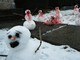 Os bonecos de neve vivem um pesadelo