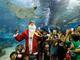 Guia vestido de Papai Noel apresenta vários peixes para
crianças que visitam nesta terça-feira (24) aquário de Manila, nas Filipinas