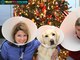 De todos na foto, o cachorro é o que menos merece usar o tal do "cone da vergonha"