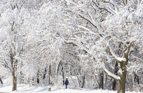 Paisagem branca pela neve dominou a terça-feira (25) de Natal nos EUA