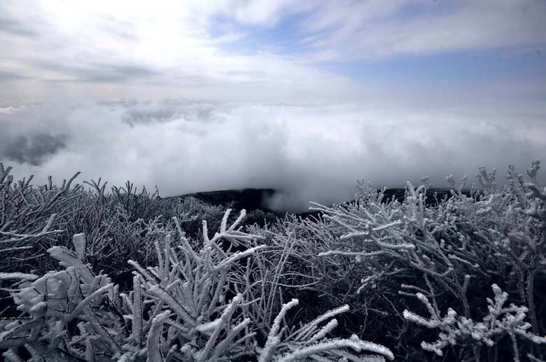 22.12.2012/CHINA OUT/AFP