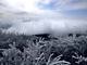 Uma forte onda de
inverno vem tomando conta de várias regiões do hemisfério Norte. Dos Estados
Unidos à Ásia, passando pela Europa, o frio vem revelando imagens impressionantes.
Ao lado, o monte Leigong, no sudoeste da China, ficou completamente coberto de
gelo. Veja mais imagens a seguir