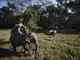 Turistas montam em elefante durante passeio no parque nacional de Chitwan, no Nepal, a 170 km de Katmandu