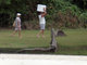 A Base Naval de Aratu fica a cerca de 40 km de distância da capital da Bahia, Salvador. Foi lá em 2010 que o ex-presidente Lula foi fotografado carregando uma caixa de isopor na cabeça<br><br><b><a href="http://noticias.r7.com/brasil/fotos/saiba-quanto-ganham-os-principais-politicos-do-brasil-20121002-3.html">Saiba quanto os principais políticos ganham por mês</a></b>