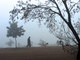 Um paquistanês
caminha com seu cão durante uma manhã fria com
neblina em Islamabad. O tempo nublado também atinge outras partes do país, causando transtornos e
atrasados nos horários de voos e na
partida de trens