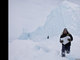 Além das imagens selecionadas pelo painel oficial de juízes, os vencedores também foram selecionados pelos leitores da National Geographic. A escolha deles para a categoria lugares foi para <i>Caçadores de Icebergs</i>, de Adam Coish