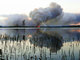 

Incêndio atinge uma área florestal em New South Wales, na
Austrália

