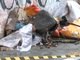 Ela tinha aproximadamente a mesma idade e estava em uma pilha de lixo, em uma praça do Itaim Paulista
