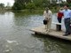 Quando recebeu a visita do então presidente da China,&nbsp;Hu Jintao, eles aproveitaram o passeio para alimentar peixes do lago artificial que a residência oficial da Granja do Torto tem<br><br>