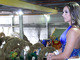 Nicole Bahls será destaque da Beija-Flor de Nilópolis