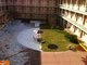 Eis que aqui temos um jardim bipolar