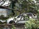 &nbsp;<BR>Uma árvore&nbsp;caiu em cima de um carro, na avenida Pedro Pinho em Osasco, na região metropolitana<BR>