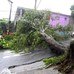 Chuva forte causa estragos na Grande S&atilde;o Paulo - Not&iacute;cias - R7.com