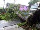 A <A href="http://noticias.r7.com/sao-paulo/chuva-forte-coloca-regioes-de-sao-paulo-em-estado-de-atencao-para-alagamento-19012013">forte chuva que atingiu a Grande São paulo </A>na tarde deste sábado (19) deixou vários bairros da capital em estado de atenção para enchentes e causou estragos em Osasco. <BR>Uma&nbsp;árvore caiu e bloqueou a avenida Diogo Antonio Feijó em Osasco, na Grande São Paulo&nbsp;&nbsp; &nbsp; &nbsp; &nbsp; &nbsp; &nbsp; &nbsp; &nbsp; &nbsp; &nbsp; &nbsp; &nbsp; &nbsp;<BR>