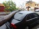 Mais um carro foi danificado com a queda de uma árvore na avenida Diogo Antonio Feijó em Osasco, na Grande São Paulo