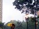 Pedestre se protege da chuva na praça Dom José Gaspar, na região central de São Paulo, neste sábado (19)