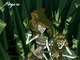 Megara e Hércules mudam de lado, agora ela é uma das bruxas que cortam a linha da vida