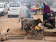 Indianos sem-teto se aquecem em fogueira ao lado de animais de rua em Allahabad<br><br>