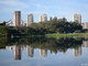 O outro famoso parque da cidade, o Ibirapuera, também foi registrado pelo paulistano Daniel Mattos