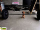 Pense grande pra cachorro!