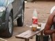 O homem que foi flagrado atacando uma gata a mordidas, em Iranduba (AM), foi preso na tarde de segunda-feira (21). A Polícia Civil disse que o suspeito, um pedreiro de 42 anos, foi localizado em uma via pública após denúncias de pessoas que o reconheceram. Ele estava alcoolizado no momento da abordagem. A gata está bem e deve ser adotada. <b><a href="http://noticias.r7.com/cidades/gata-sobrevive-a-ataque-a-mordidas-e-suspeito-e-indiciado-por-maus-tratosnbspem-iranduba-am-22012013 ">Leia mais</a></b>