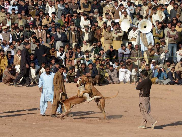Farooq NAEEM/AFP
