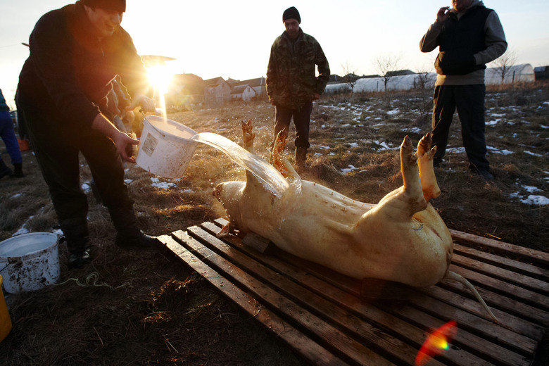 Olexander Zobin/AFP
