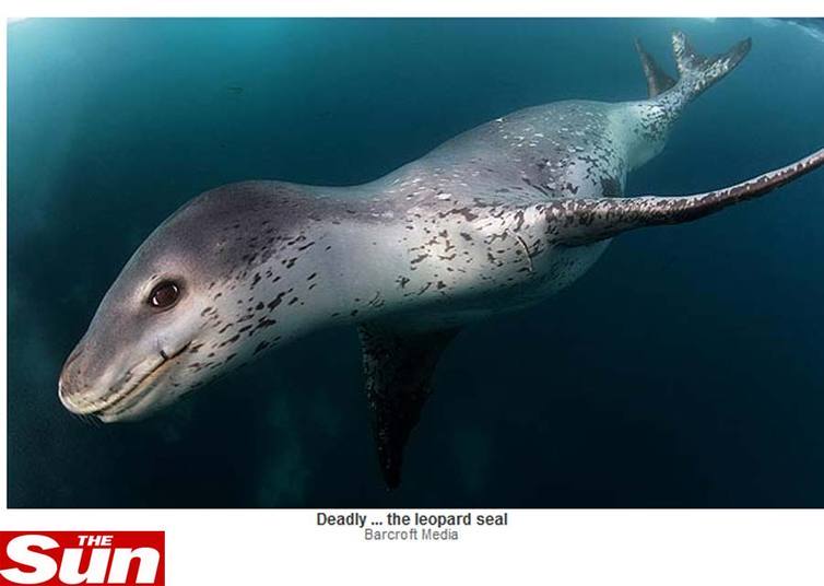 Reprodução/thesun.co.uk