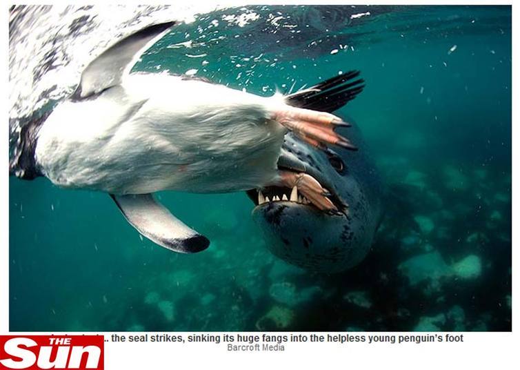Reprodução/thesun.co.uk