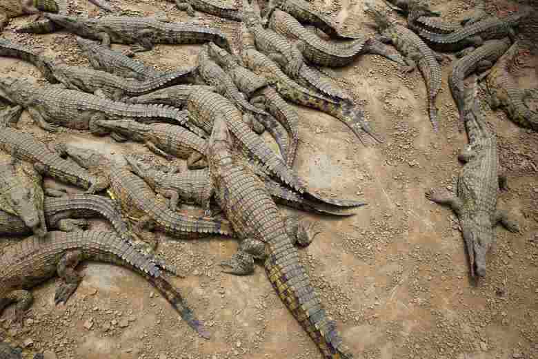 Mike Hutchings/Reuters