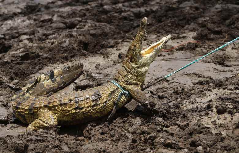 Mike Hutchings/Reuters