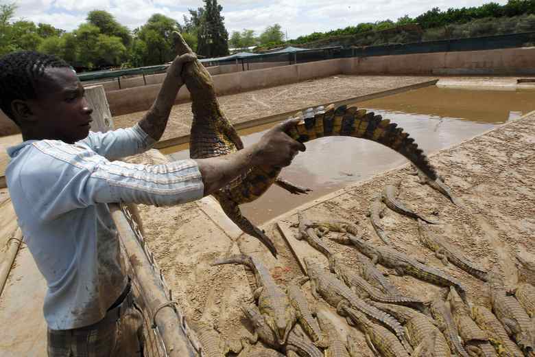 Mike Hutchings/Reuters