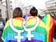 O projeto
de lei que legaliza o casamento homossexual na França começou a ser examinado na
terça-feira (29) pelo Parlamento francês. Contudo, essa questão está sendo
motivo de uma série de manifestações pelo país