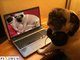 Pornôzinho doggy-style!