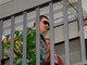 Na sexta-feira (1º), a justiça prorrogou por 30 dias a prisão dos quatro suspeitos de envolvimento no incêndio. Inicialmente, os empresários Mauro Hoffmann (foto) e Elissandro Spohr, proprietários da casa noturna, e os músicos Marcelo dos Santos e Luciano Leão, integrantes da banda Gurizada Fandangueira. <a href="http://noticias.r7.com/cidades/veja-a-cobertura-completa-do-incendio-que-deixou-centenas-de-mortos-em-santa-maria-rs-01022013">Leia mais</a>